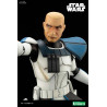 Star Wars The Clone Wars - Figure Captain Rex, ARTFX
