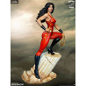 DC Comics Wonder Girl - Figure Donna Troy, Super Powers Collection