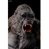 Godzilla vs Kong - Figurine Kong, Chou Gekizou Series