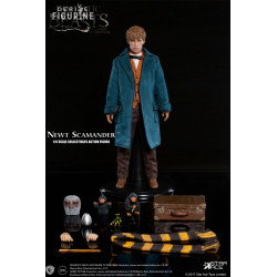 Fantastic Beasts figure...