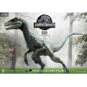 Jurassic World: Fallen Kingdom - Blue (Open Mouth) figure, Prime Collectibles