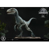 Jurassic World: Fallen Kingdom - Blue (Open Mouth) figure, Prime Collectibles