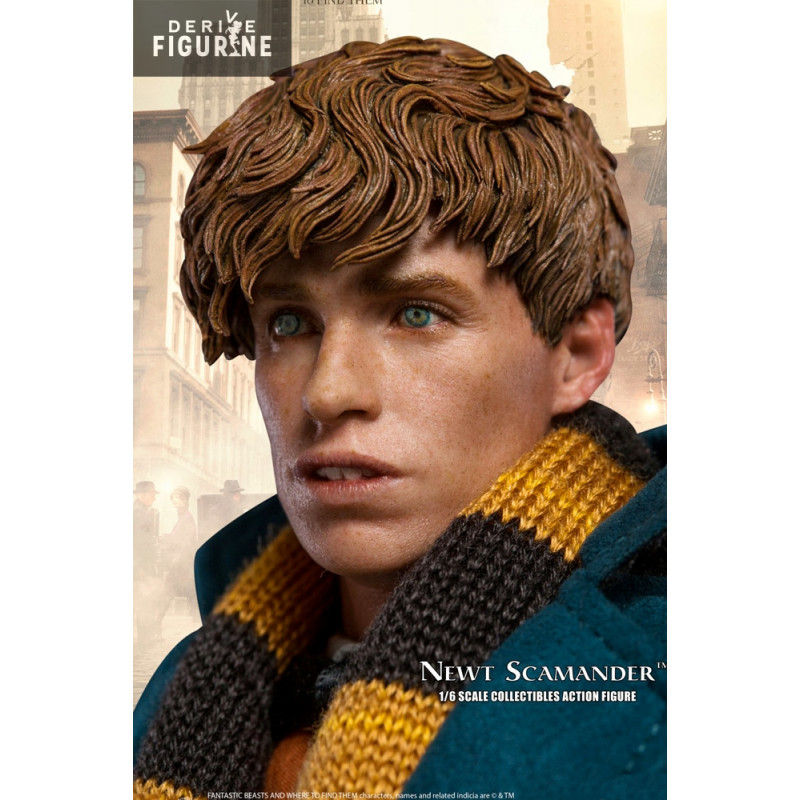 Fantastic Beasts figure...