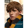 Fantastic Beasts figure Newton Artemis Fido Scamander