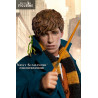 Fantastic Beasts figure Newton Artemis Fido Scamander