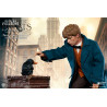 Fantastic Beasts figure Newton Artemis Fido Scamander