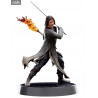 The Lord of the Rings - Figure Aragorn or Lurtz, Figures of Fandom