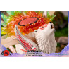 Okami - Figurine Shiranui Standard Pose ou Celestial Howl
