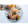 Zetsumetsukigudan Rescute No. 15 Shi Hu, Leopard Cat figure