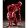 Original Character - Figure Human Anatomical Model, Figma