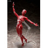 Original Character - Figurine Human Anatomical Model, Figma