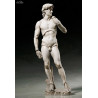 The Table Museum - Figure Davide di Michelangelo or Vitruvian Man, Figma