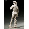 The Table Museum - Figure Davide di Michelangelo or Vitruvian Man, Figma