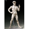 The Table Museum - Figure Davide di Michelangelo or Vitruvian Man, Figma
