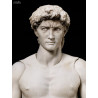 The Table Museum - Figure Davide di Michelangelo or Vitruvian Man, Figma