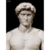 The Table Museum - Figure Davide di Michelangelo or Vitruvian Man, Figma