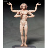 The Table Museum - Figure Davide di Michelangelo or Vitruvian Man, Figma