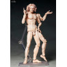 The Table Museum - Figure Davide di Michelangelo or Vitruvian Man, Figma
