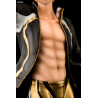 Fate/EXTELLA - Figure Gilgamesh, version Sanbi seyo Miwaku no Nikubi