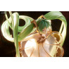 Character Vocal Series 01 - Figure Hatsune Miku Symphony, 5th Anniversary