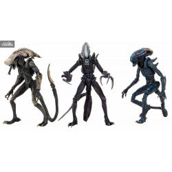 Aliens vs Predator - Pack 3...