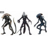 Aliens vs Predator - Pack 3 figurines Predator