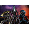 Aliens vs Predator - Pack 3 figures Predator