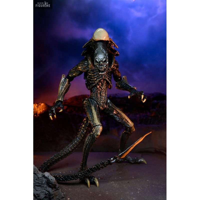 Pack 3 figures Predator - Aliens vs Predator - NECA