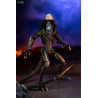 Aliens vs Predator - Pack 3 figurines Predator