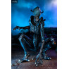 Aliens vs Predator - Pack 3 figurines Predator