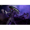 Aliens vs Predator - Pack 3 figurines Predator