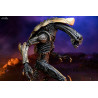 Aliens vs Predator - Pack 3 figurines Predator