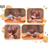 Time Raiders - Pack 6 figures ChiBi Cute Animal