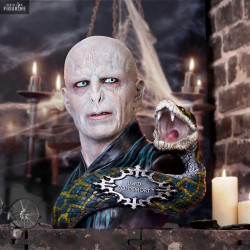 Harry Potter - Buste Lord...
