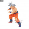Dragon Ball Super - Figurine Goku Ultra Instinct, Super Zenkai Solid  Vol. 3