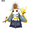 Marvel, X-Men - Storm bust Animated