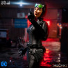 DC Comics, Batman - Catwoman figure, One:12