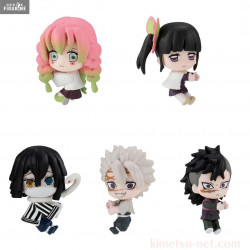 Demon Slayer Kimetsu No...