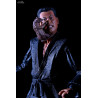 Les Tortues Ninja (1990) - Pack 2 figurines Shadow Warriors