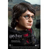 Figurine Harry Potter, Tournoi des Trois Sorciers disponible en version classique ou Deluxe