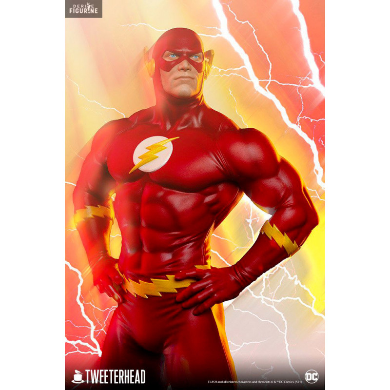 DC Comics - The Flash figure