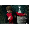 Tournoi des Trois Sorciers - Figurine Harry Potter sans manteau, Classique ou Deluxe