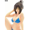 Why the hell are you here, Teacher! - Figure Kana Kojima of your choice, Swim Wear Gravure Style
