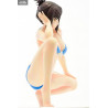 Why the hell are you here, Teacher! - Figurine Kana Kojima au choix, Swim Wear Gravure Style