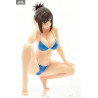 Why the hell are you here, Teacher! - Figure Kana Kojima of your choice, Swim Wear Gravure Style