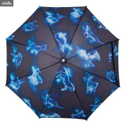 Parapluie lumineux Harry...