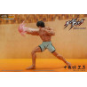 Kengan Ashura - Figure Tokita Ohma