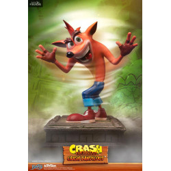 Crash Bandicoot - Crash figure