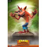 Crash Bandicoot - Figurine Crash