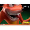 Crash Bandicoot - Figurine Crash